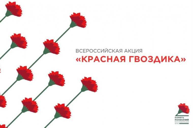 Ежегодно Благотворительный фонд "ПАМЯТЬ ПОКОЛЕНИЙ" проводит Всероссийскую акцию "Красная гвоздика", имеющую статус социально значимого проекта, который включен в перечень мероприятий, приуроченных к празднованию Дня Победы..