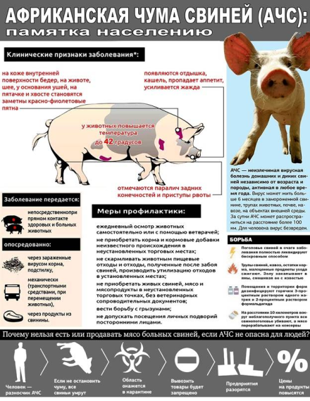 Африканская чума свиней (АЧС). Африканская чума свиней (АЧС).