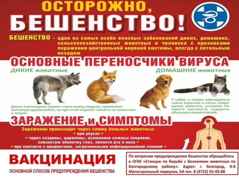 Внимание! Важная информация!. Внимание! Важная информация!.