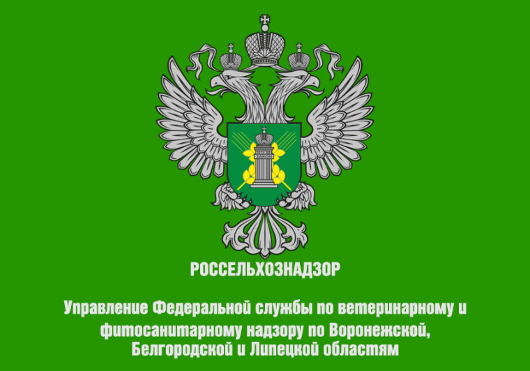Управление Россельхознадзора по Воронежской, Белгородской и Липецкой областям сообщает, что «Полуфабрика из мяса цыпленка-бройлера.. Управление Россельхознадзора по Воронежской, Белгородской и Липецкой областям сообщает, что «Полуфабрика из мяса цыпленка-бройлера..