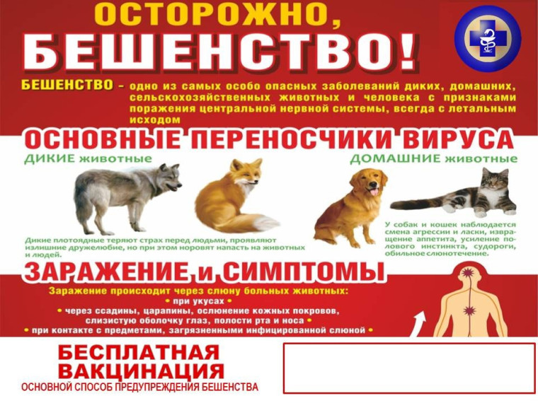 Наличие животных без владельцев на улицах является актуальной проблемой на сегодняшний день. ОСВВ (Отлов - Стерилизация - Вакцинация - Возврат) это эффективный метод снижения численности безнадзорных животных.. Наличие животных без владельцев на улицах является актуальной проблемой на сегодняшний день. ОСВВ (Отлов - Стерилизация - Вакцинация - Возврат) это эффективный метод снижения численности безнадзорных животных..